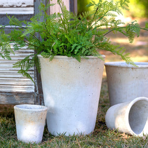 Distressed Concrete Pots & Planters