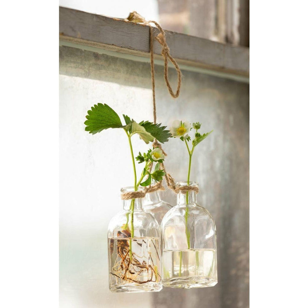 Hanging Flower Bottles