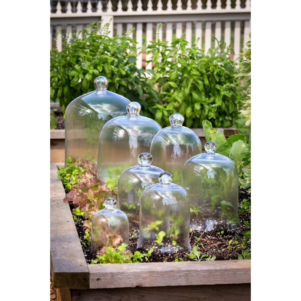 Bell Jars