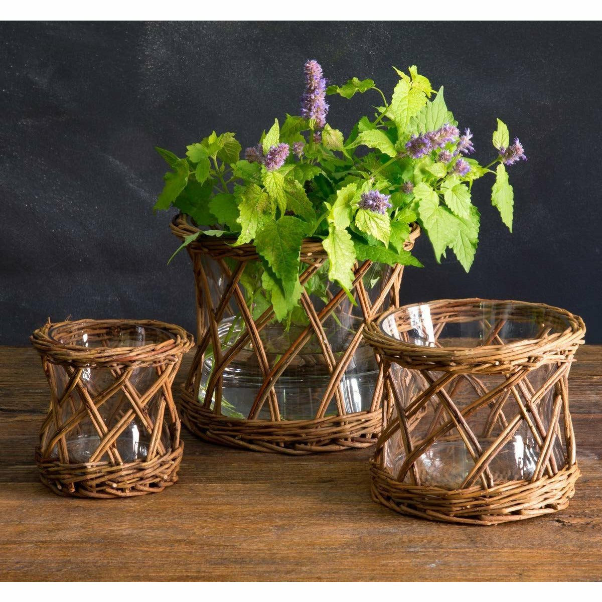 Willow Curved Flower Vase
