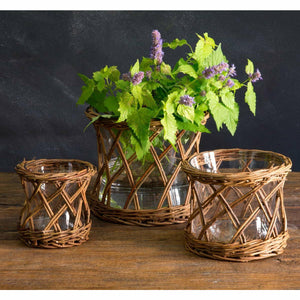 Willow Curved Flower Vase
