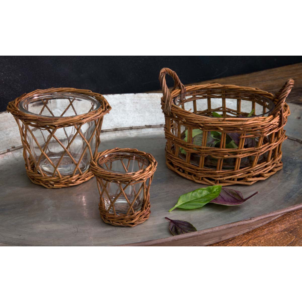 Willow Bulb Planter