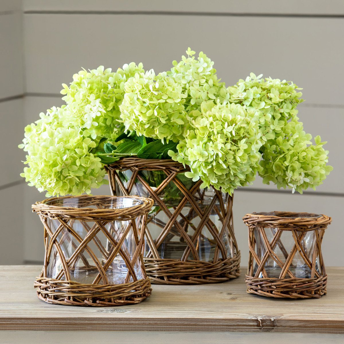 Willow Curved Flower Vase