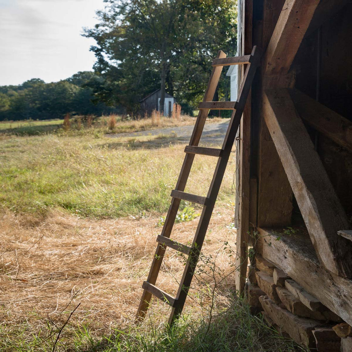 Wooden Loft Display Ladder