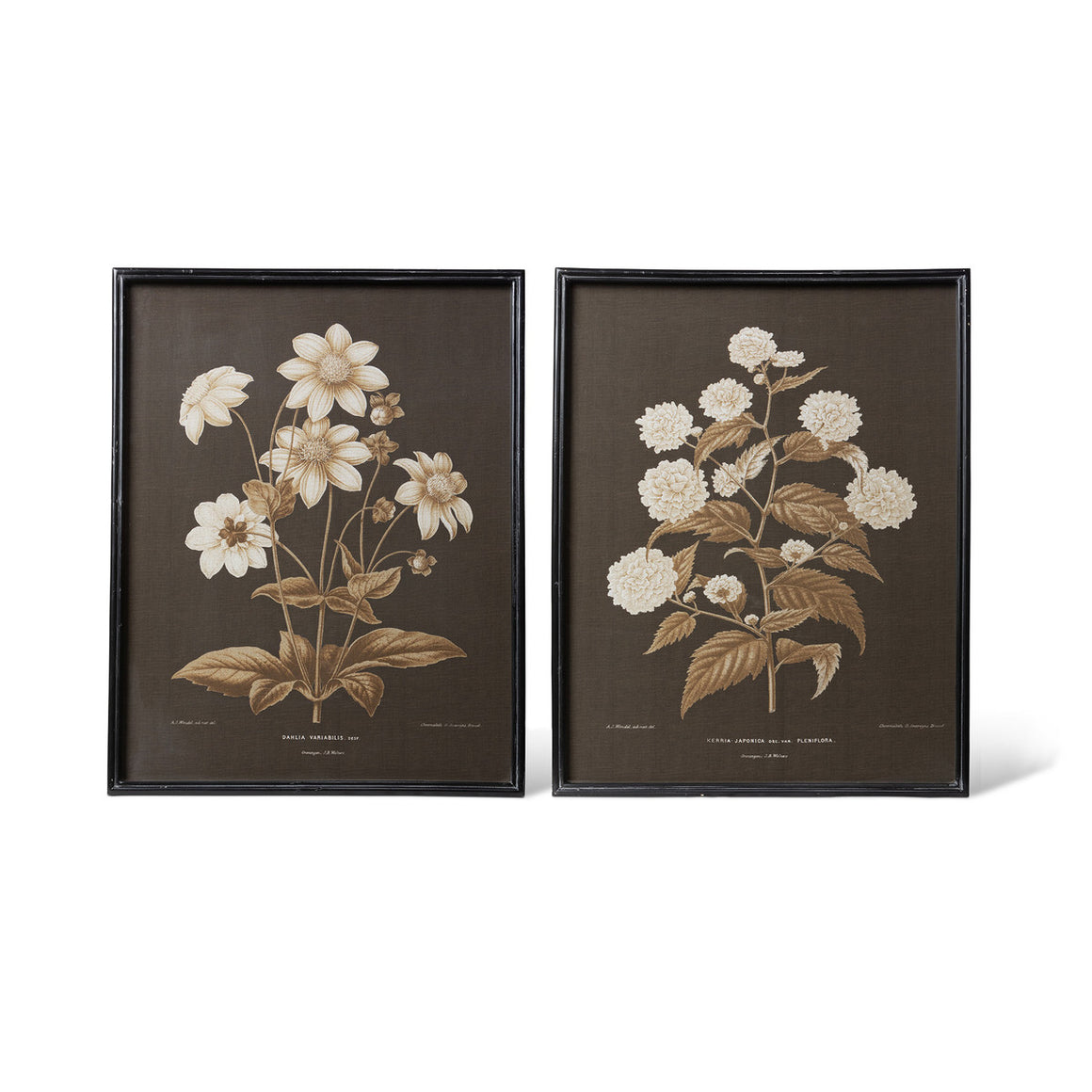 Garden Floral Botanical Framed Print