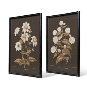 Garden Floral Botanical Framed Print