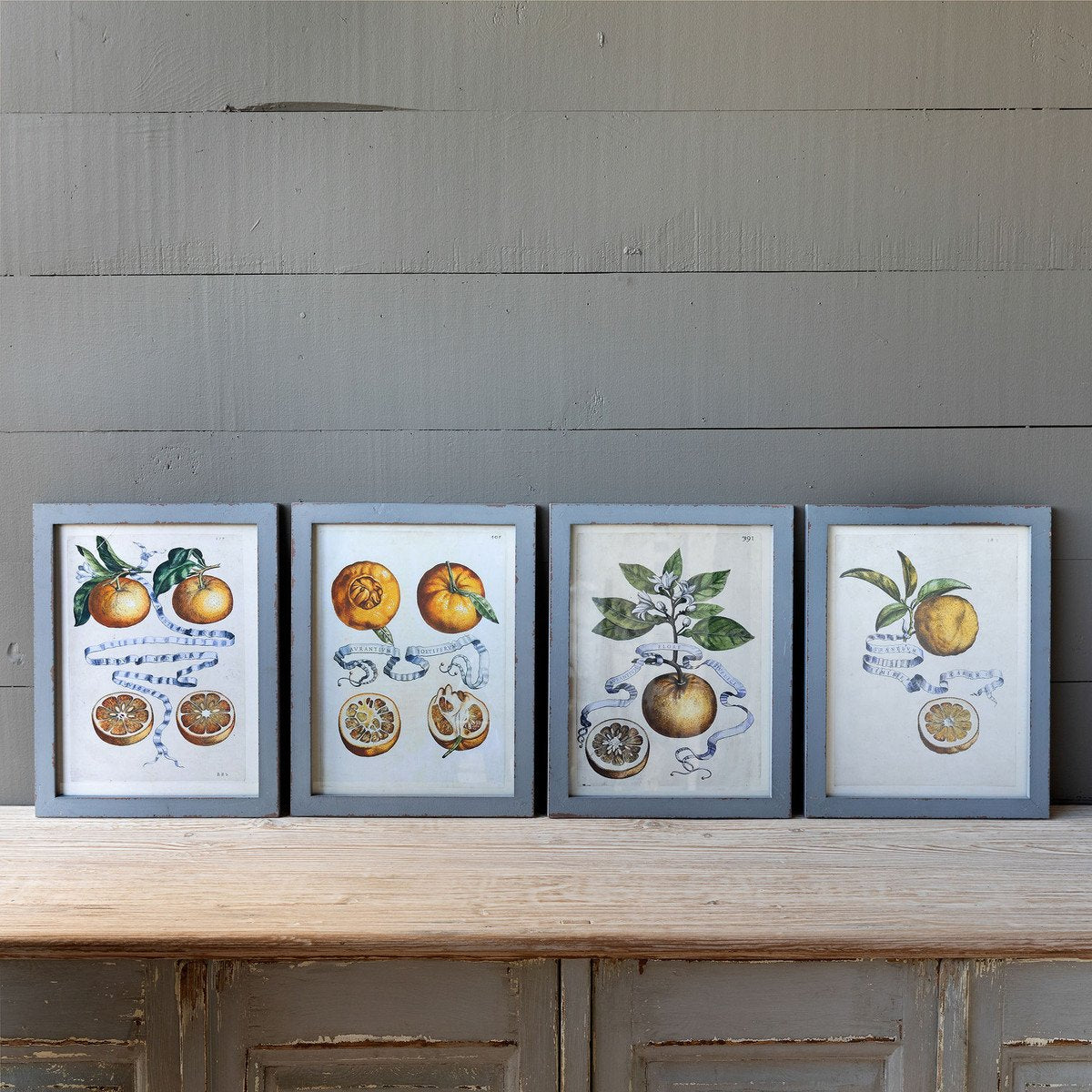Citrus & Ribbon Framed Prints