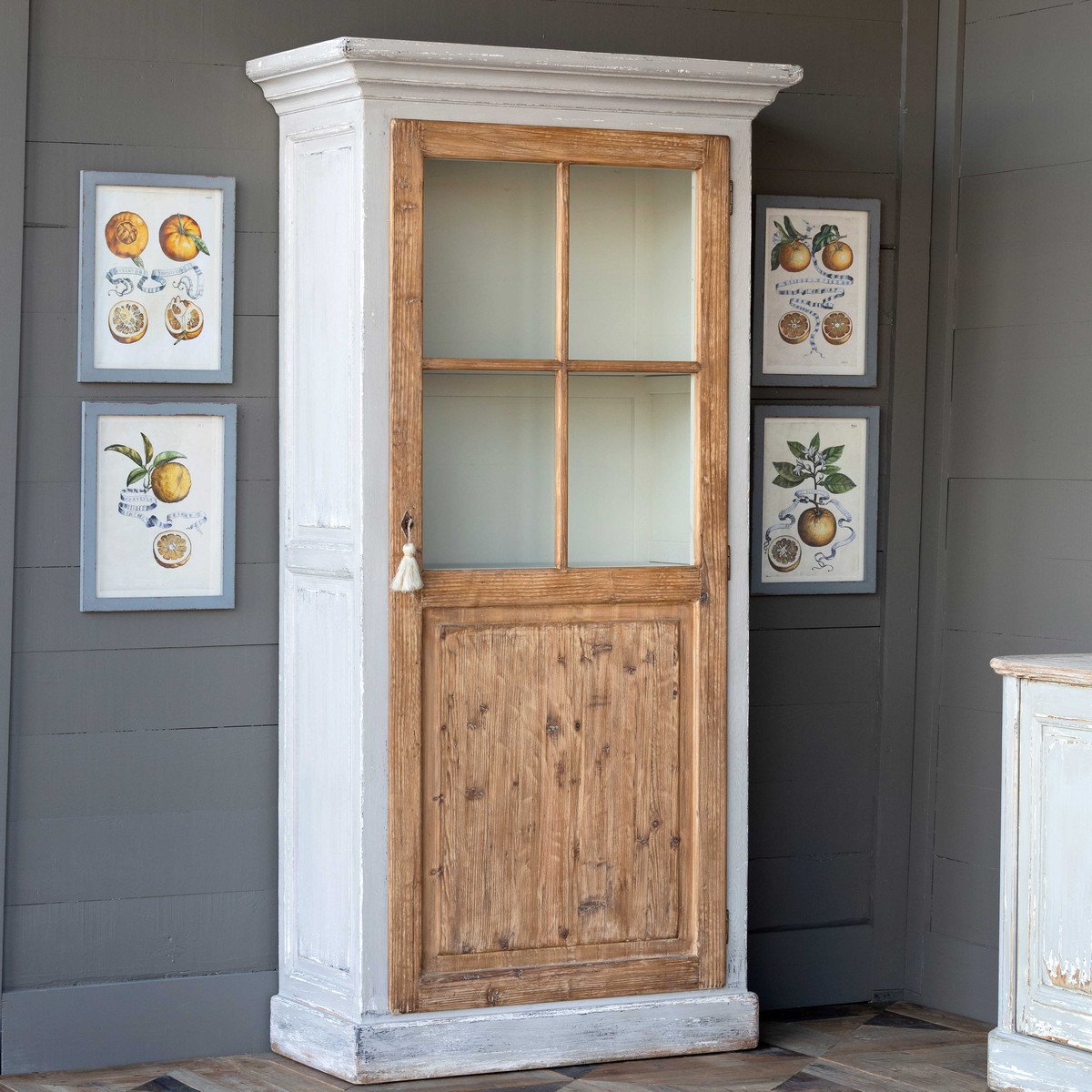 Citrus & Ribbon Framed Prints