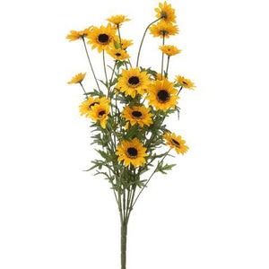 Black-Eyed Susan Bush - Yellow