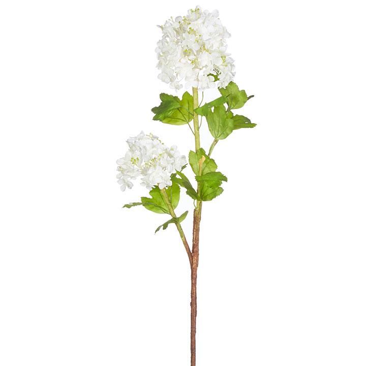 White Viburnum Hydrangea Stem