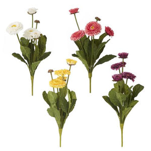 Gerbera Daisy Bush