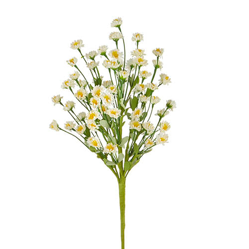 White Wildflower Bush