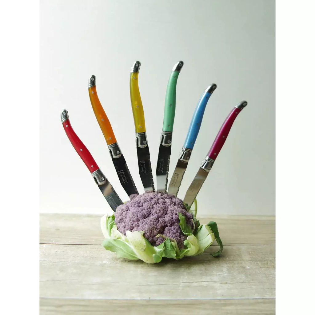 S/6 Laguiole Stainless Steel Knives | Rainbow