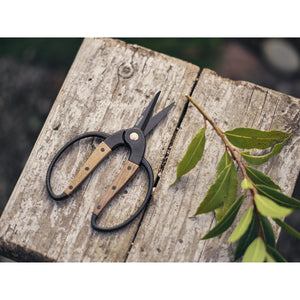 Walnut Garden Scissors