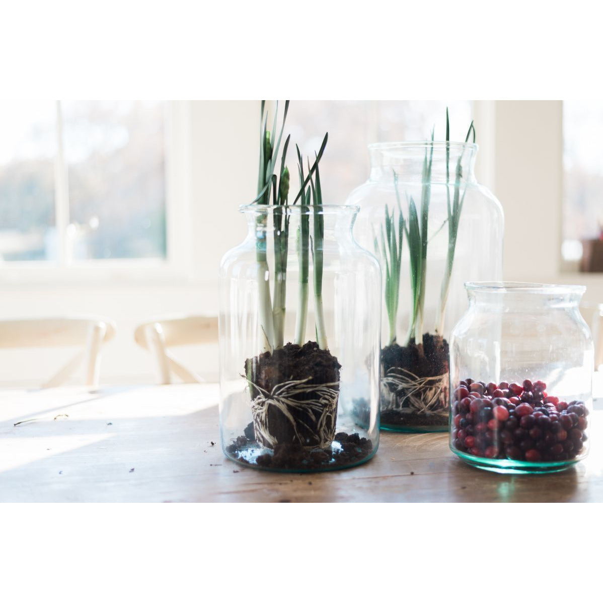Artisan Crafted European Mason Jar Clear - 5 Liter (Small)