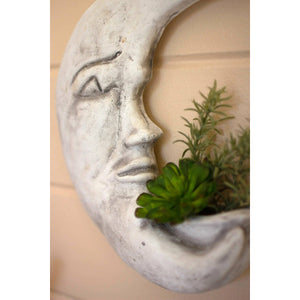 Crescent Moon Wall Planter