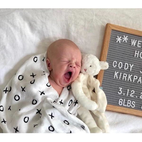 Kiddo Silly Buddy Pacifier Holder