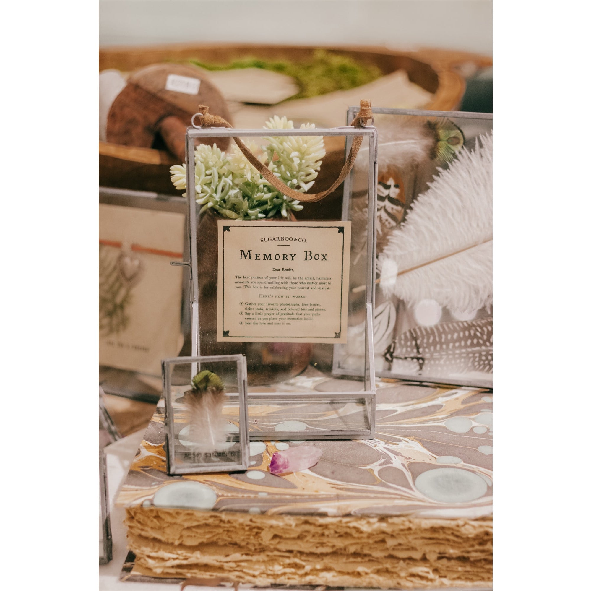 Glass & Zinc Memory Box - Moss & Embers Home Decorum