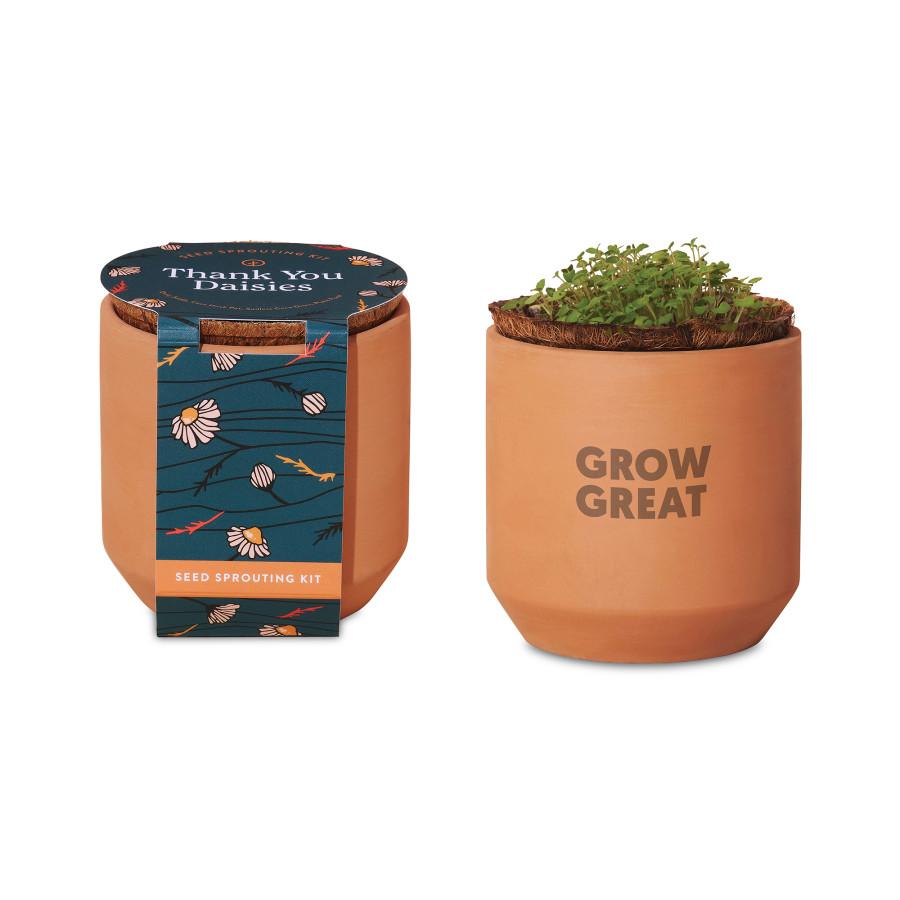 Tiny Terracotta Kits