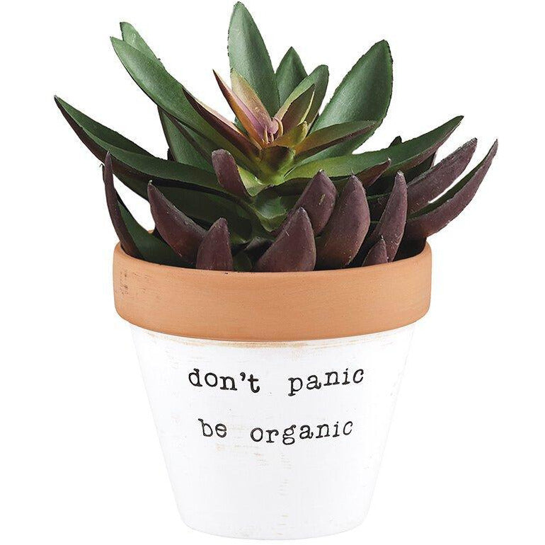 Don't Panic Be Organic Clay Planter