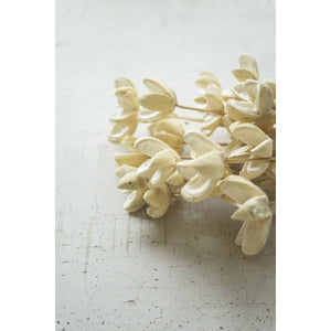 Bleached Bullet Flower Stems