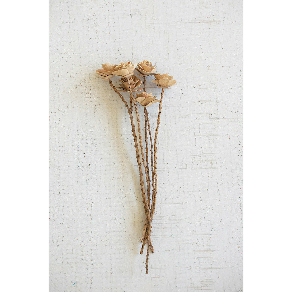 Wooden Roses w/Stems (Bundle of 6)