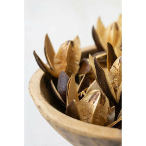 Bag of Dried Lilly Flower Pods