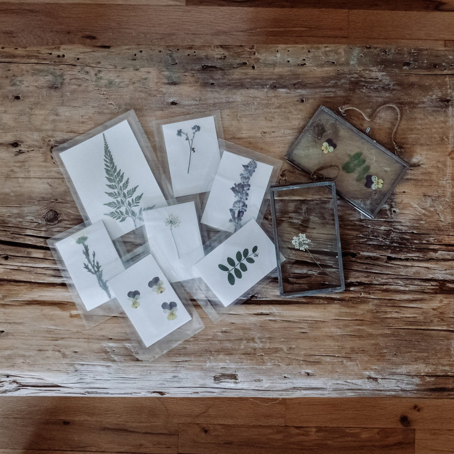 Cardboard Book Set - Garden Scissors - Moss & Embers Home Decorum