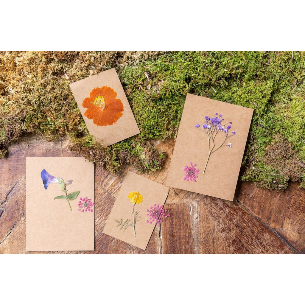 Pressed Botanical Collection - 2nd Edition