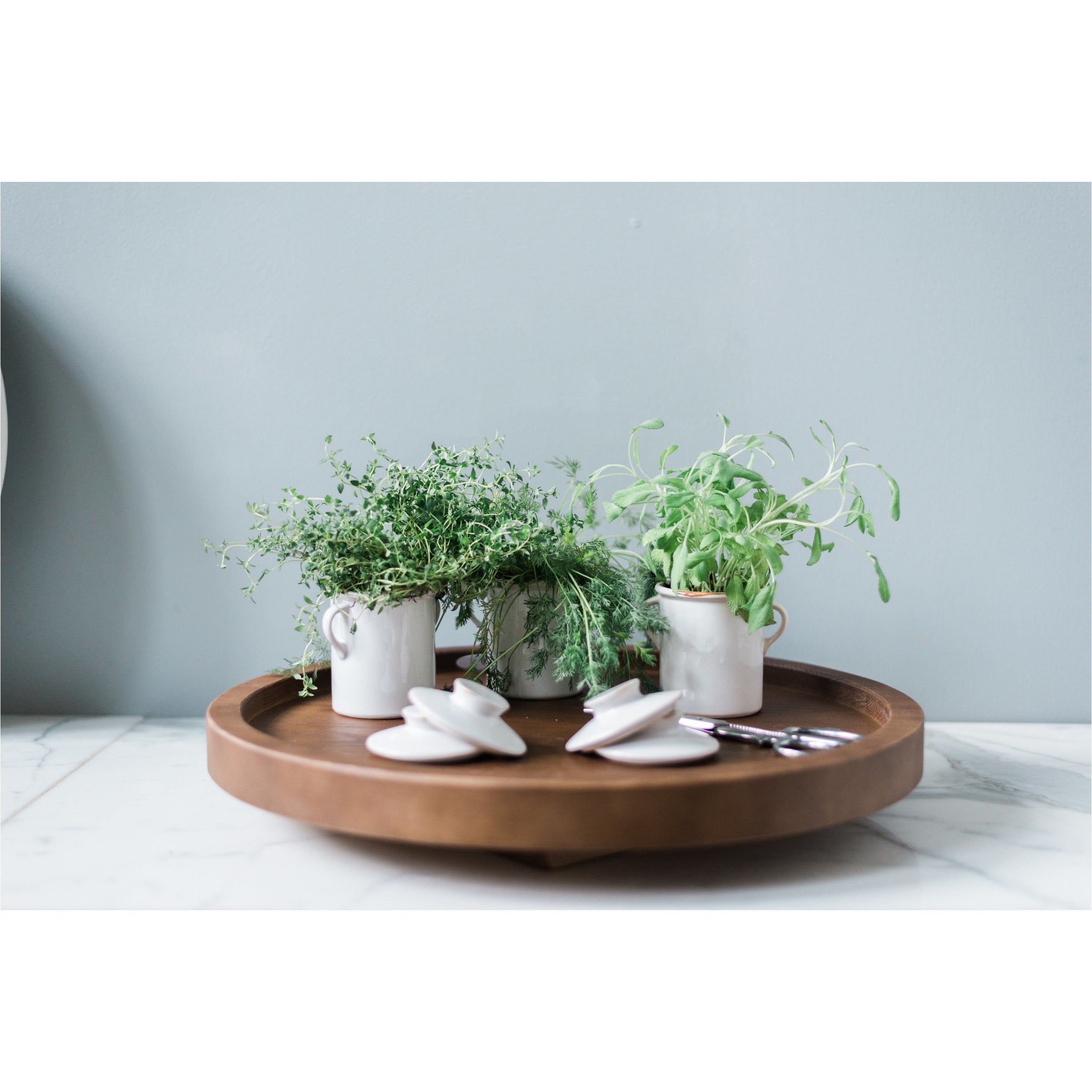 Exposed Edge Salt Cellar