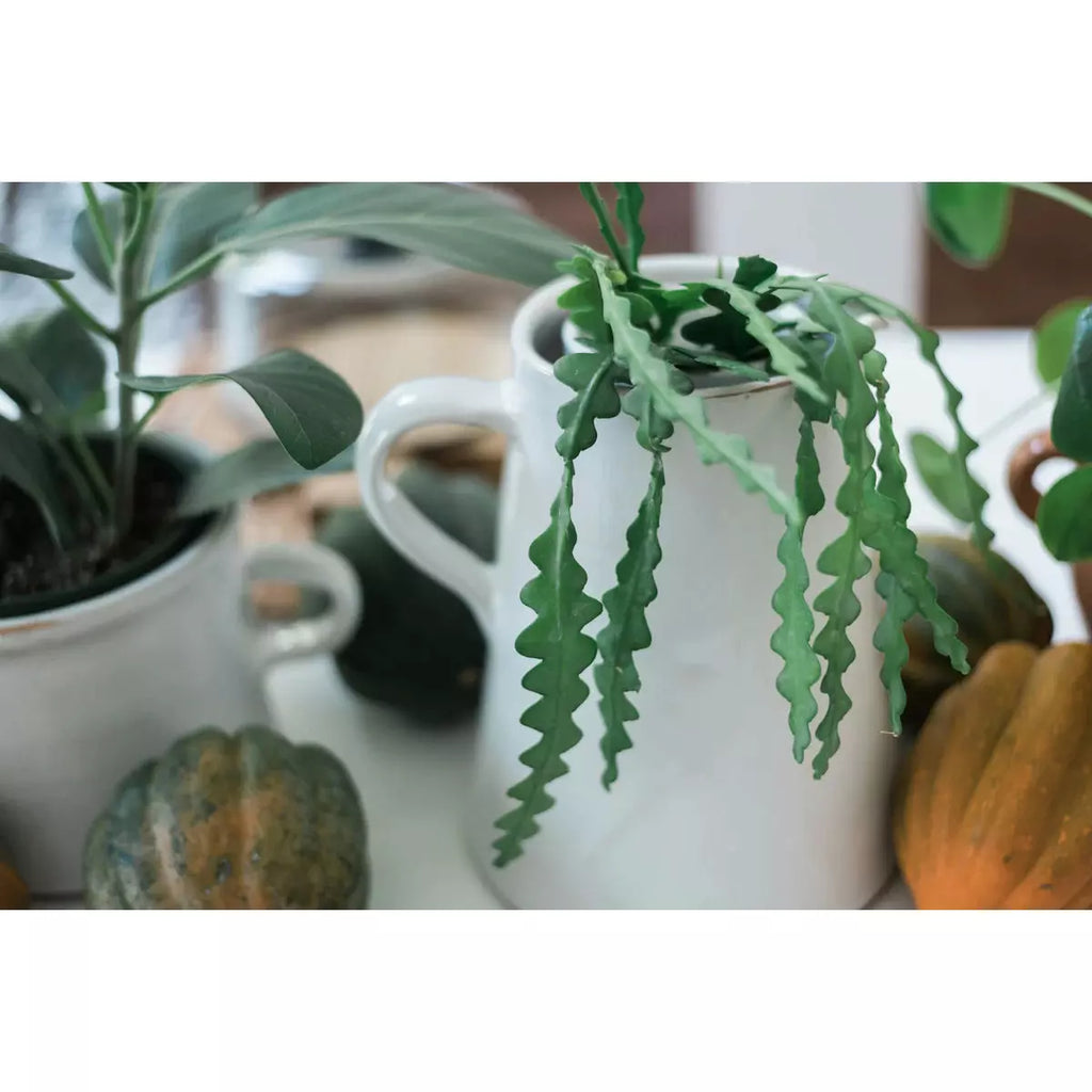 White Water Jug