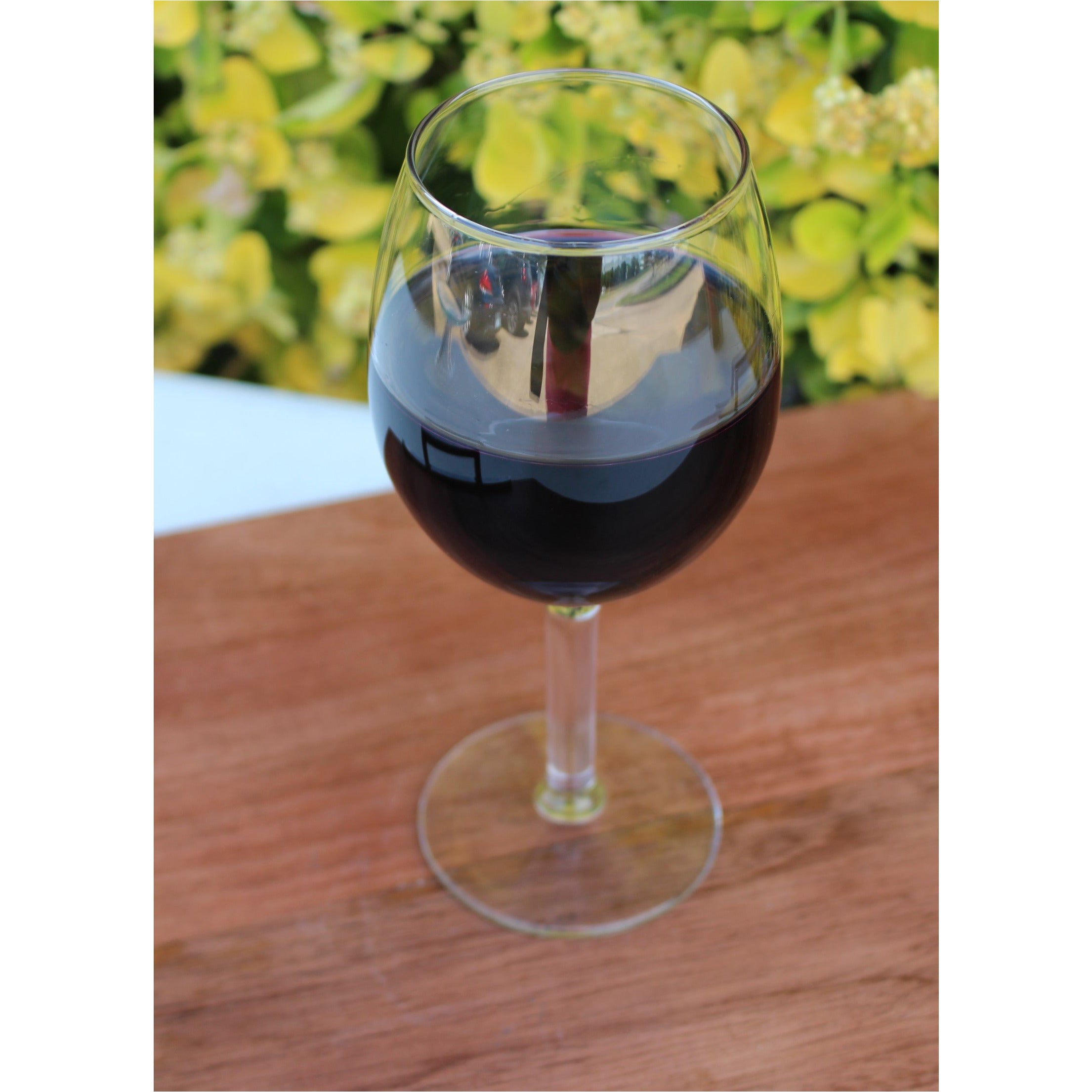 Wine Glass