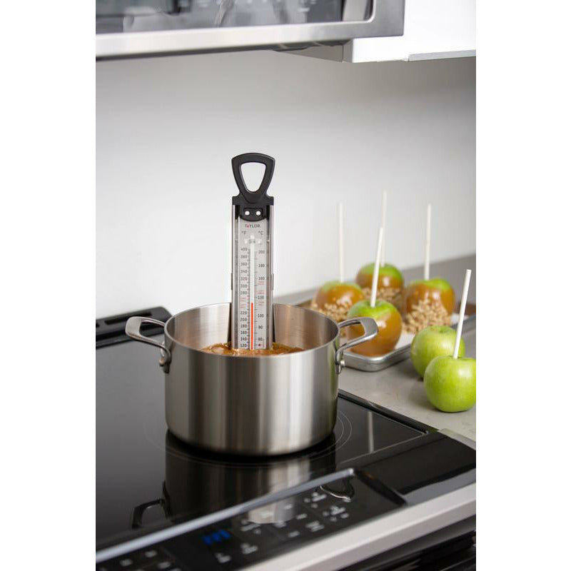 Candy/Deep Fry Thermometer (Stainless Steel Paddle)