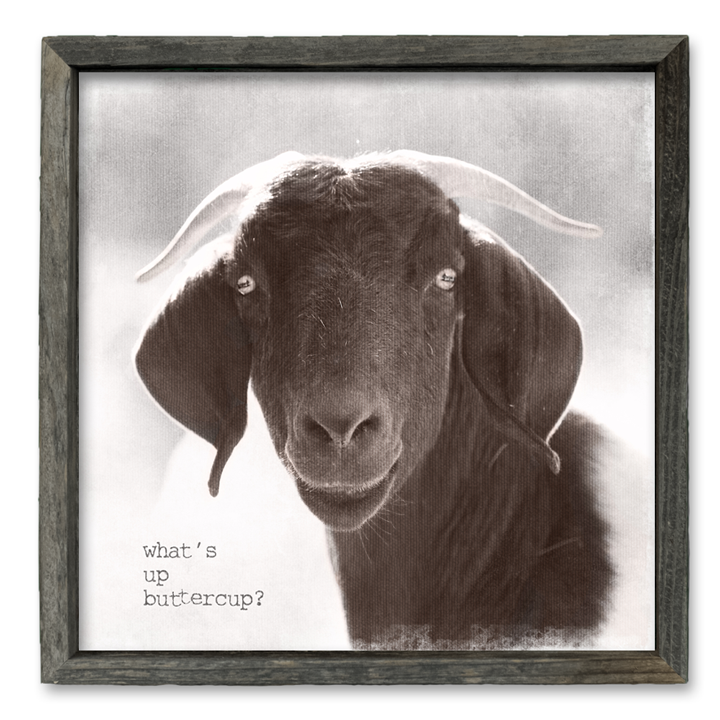 Shelf Art - What's Up Buttercup?