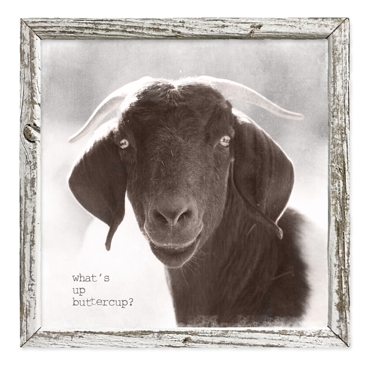 Shelf Art - What's Up Buttercup?