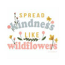 Vintage Boy Tees - Spread Kindness Like Wildflowers