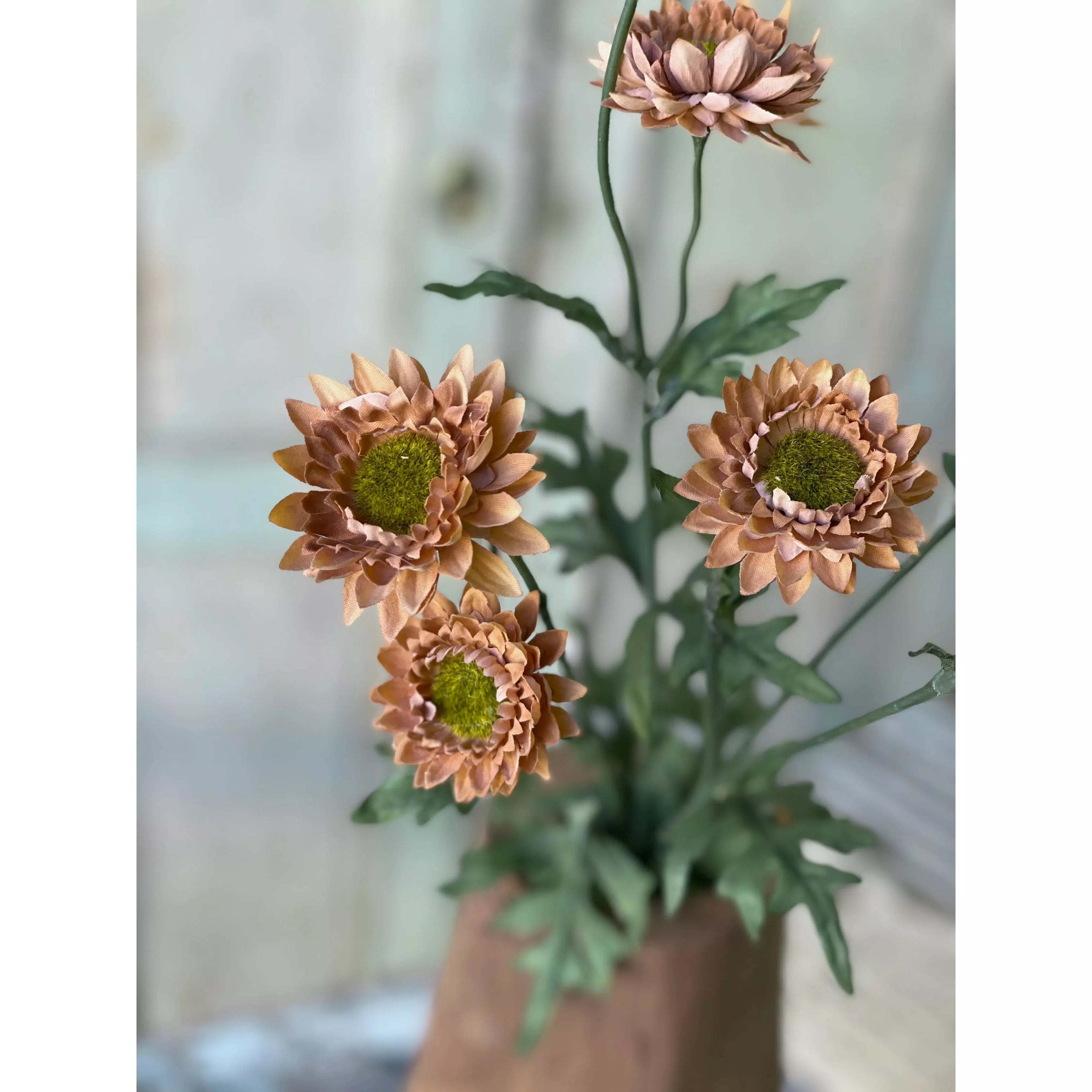 Horizon Blooms | 25.5"