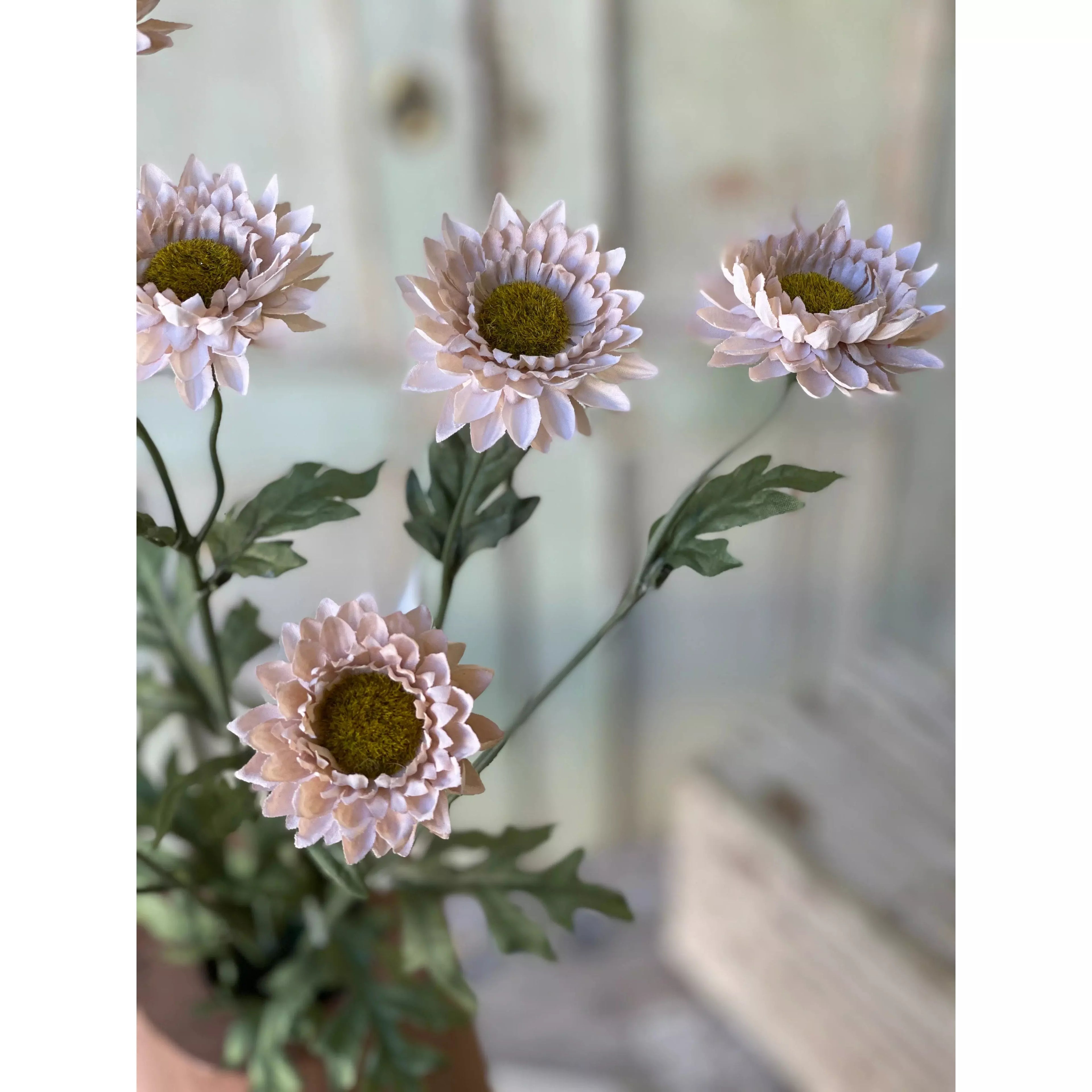 Horizon Blooms | 25.5"
