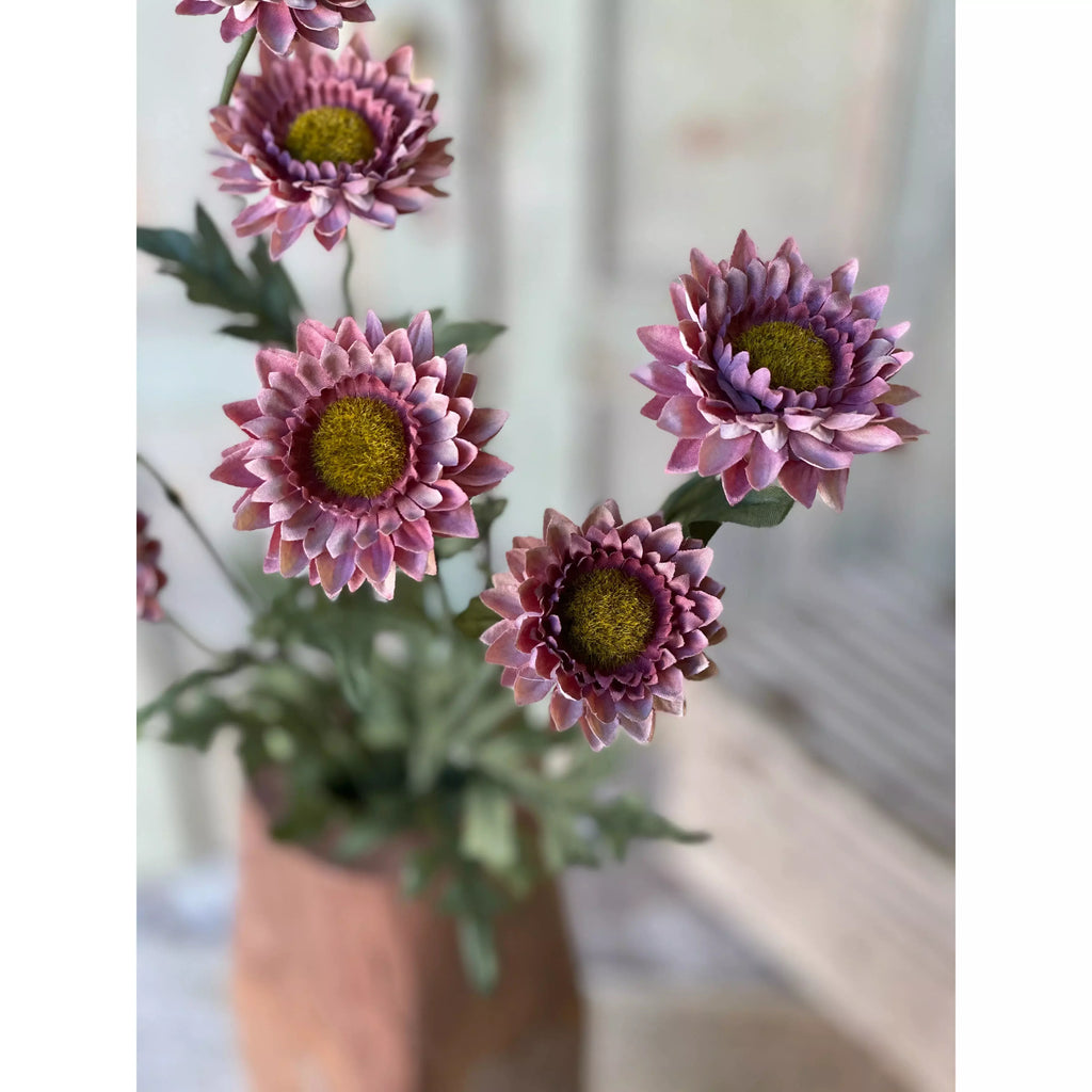 Horizon Blooms | 25.5"