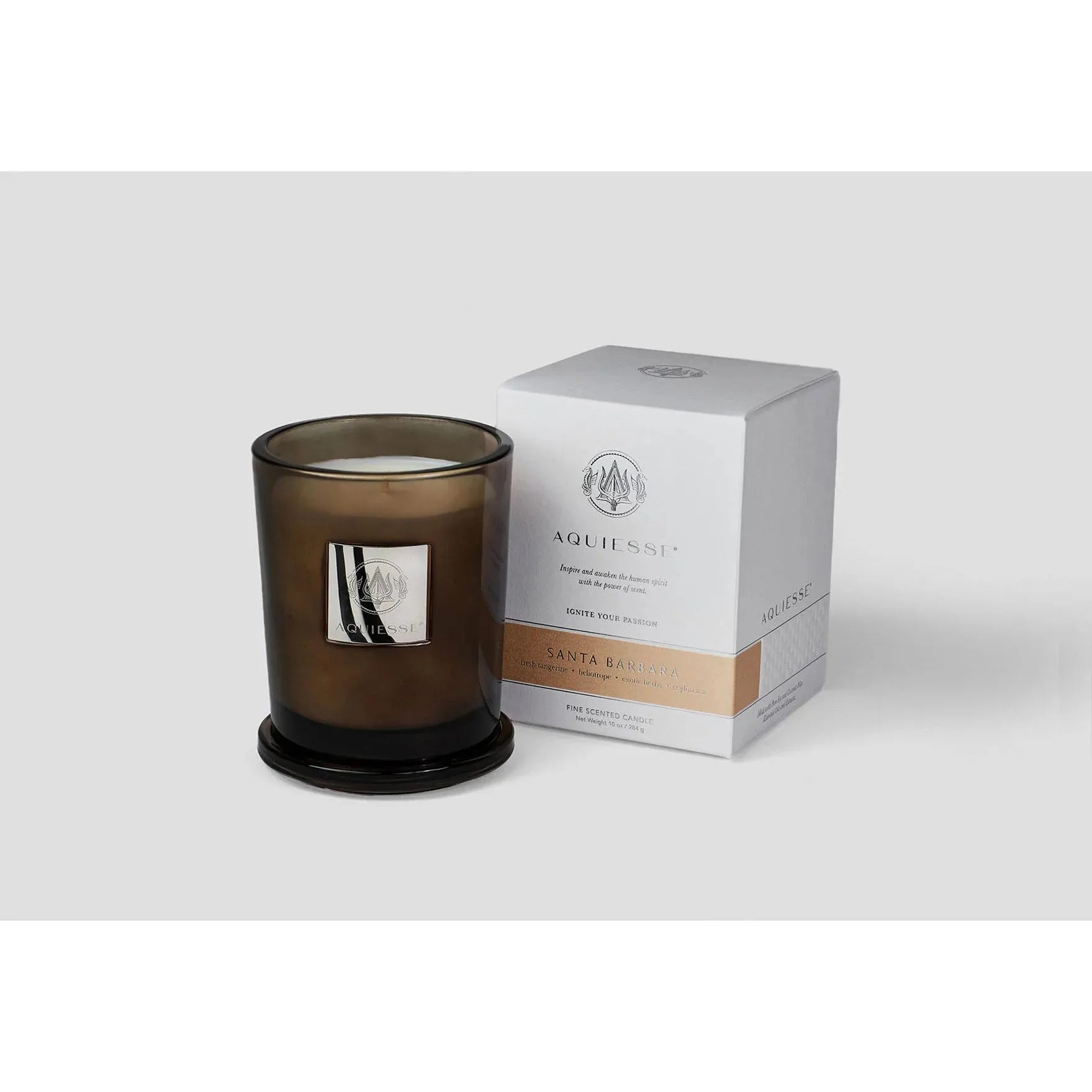 Aquiesse Portfolio Candle | Large (10 oz)