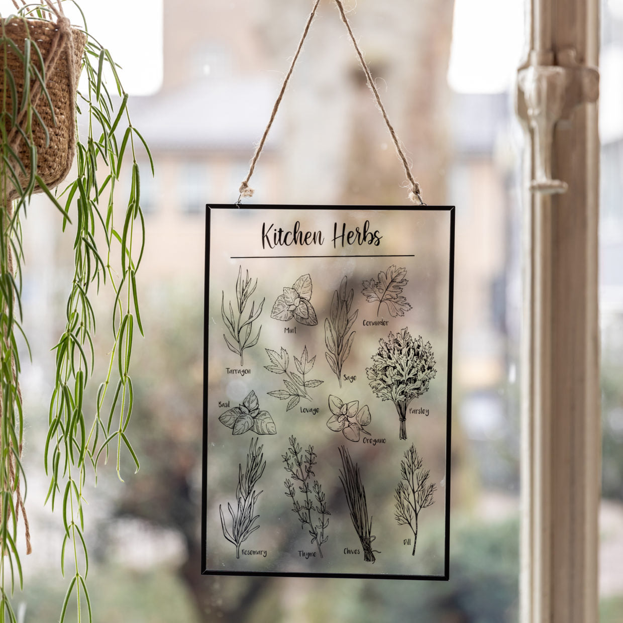 Kitchen Herbs Glass Hanger