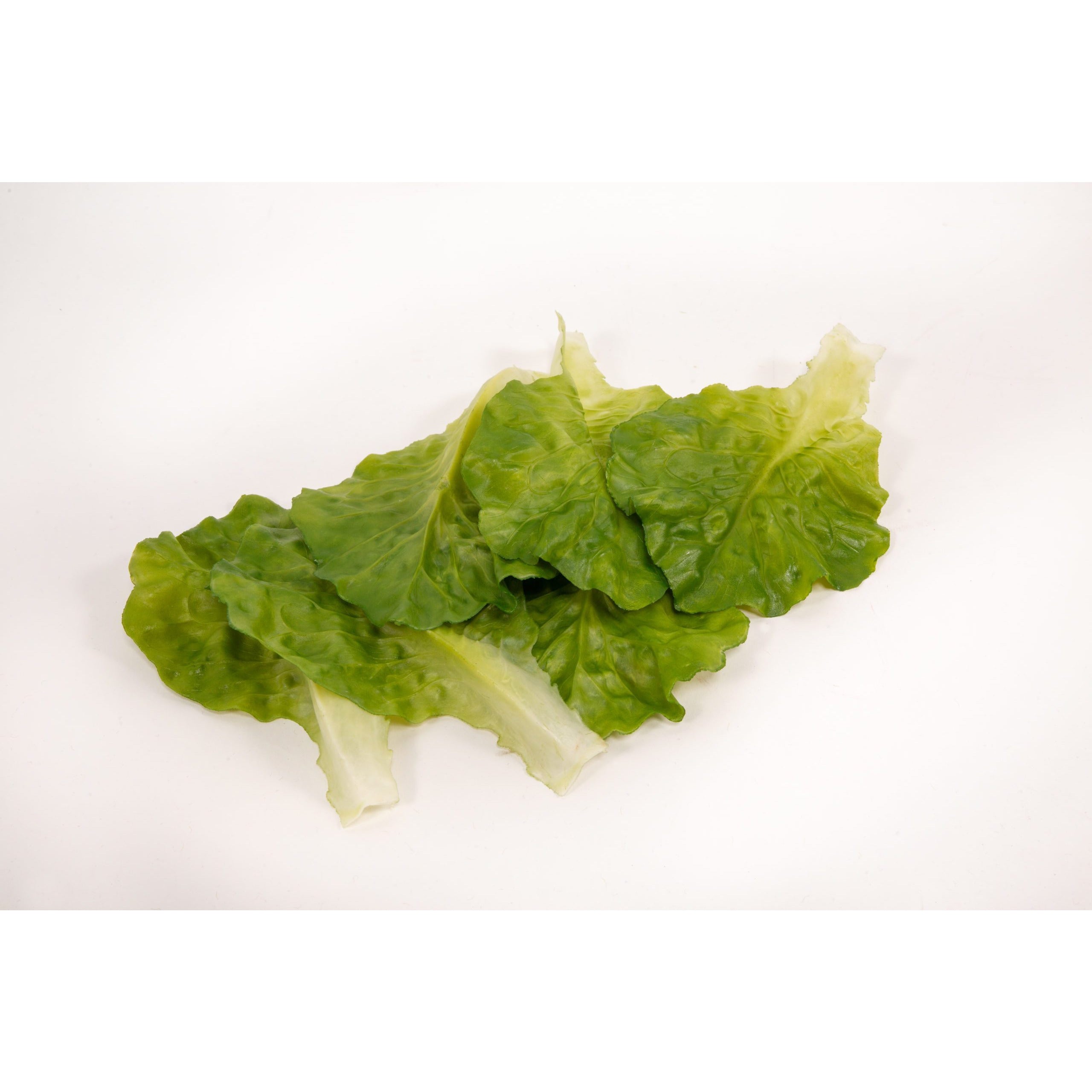 Loose Lettuce Leaves