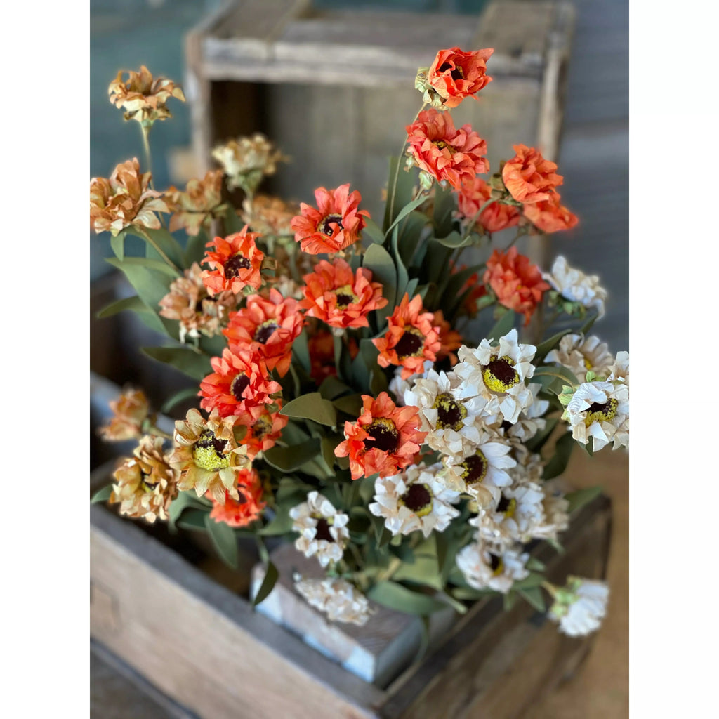 Strawflower Bush