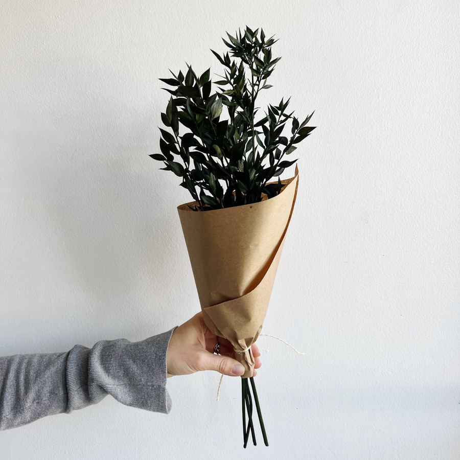 Everyday Dried Flower Bunch | Green Ruscus