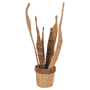 Bankuan Seagrass Woven Pot w/Plant Leaves