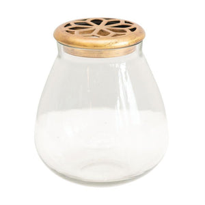 Glass Vase w/Antique Brass Finish Metal Frog Lid