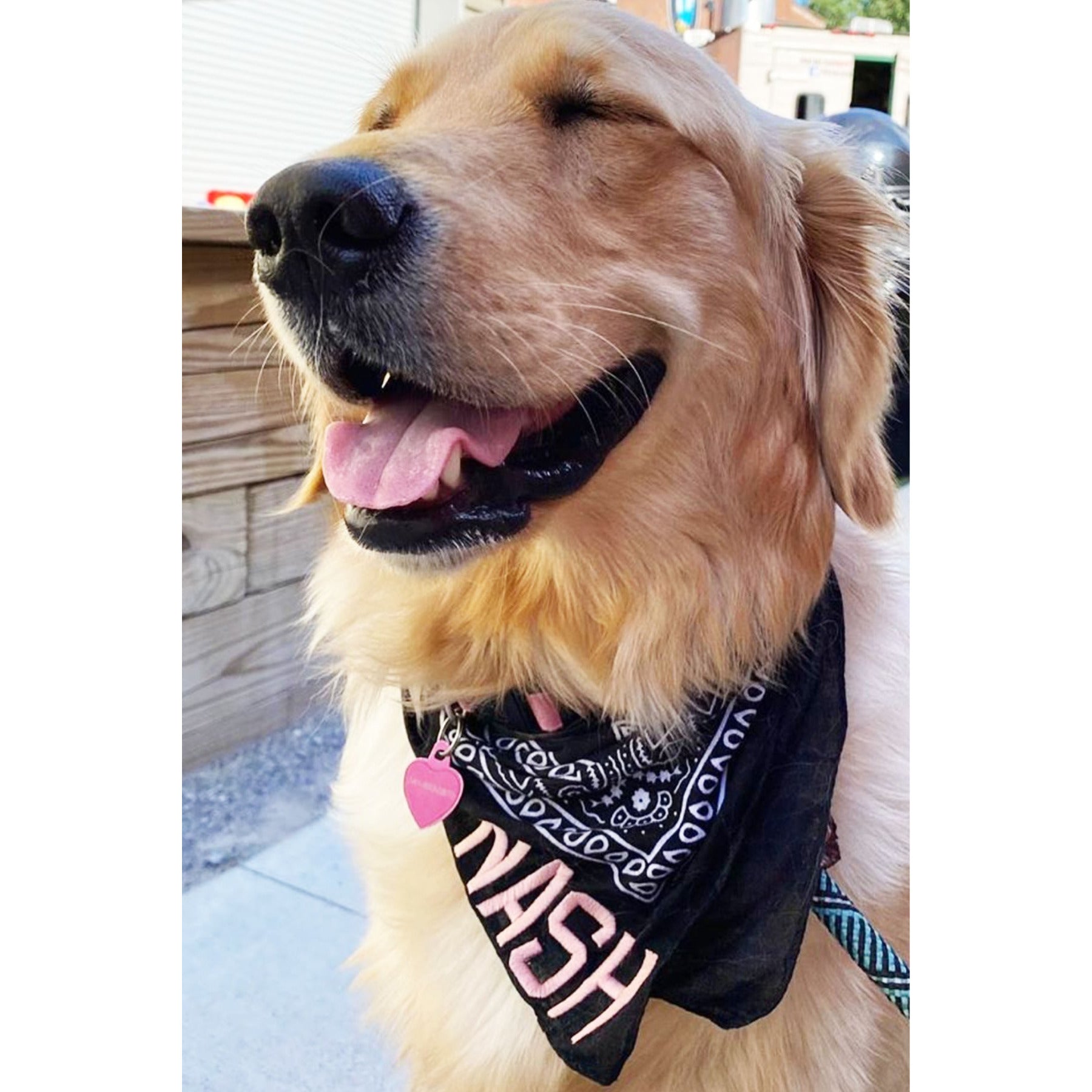 The NASH Collection - Bandana