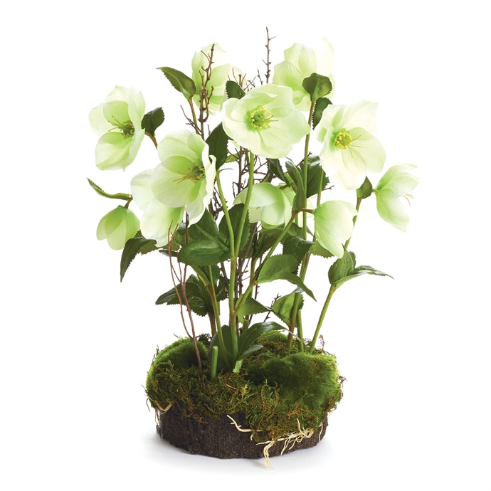 Hellebores Drop-In 12.5"