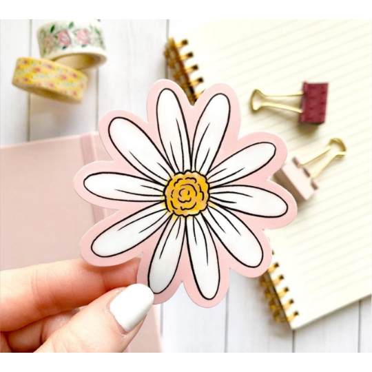 Pink Watercolor Daisy