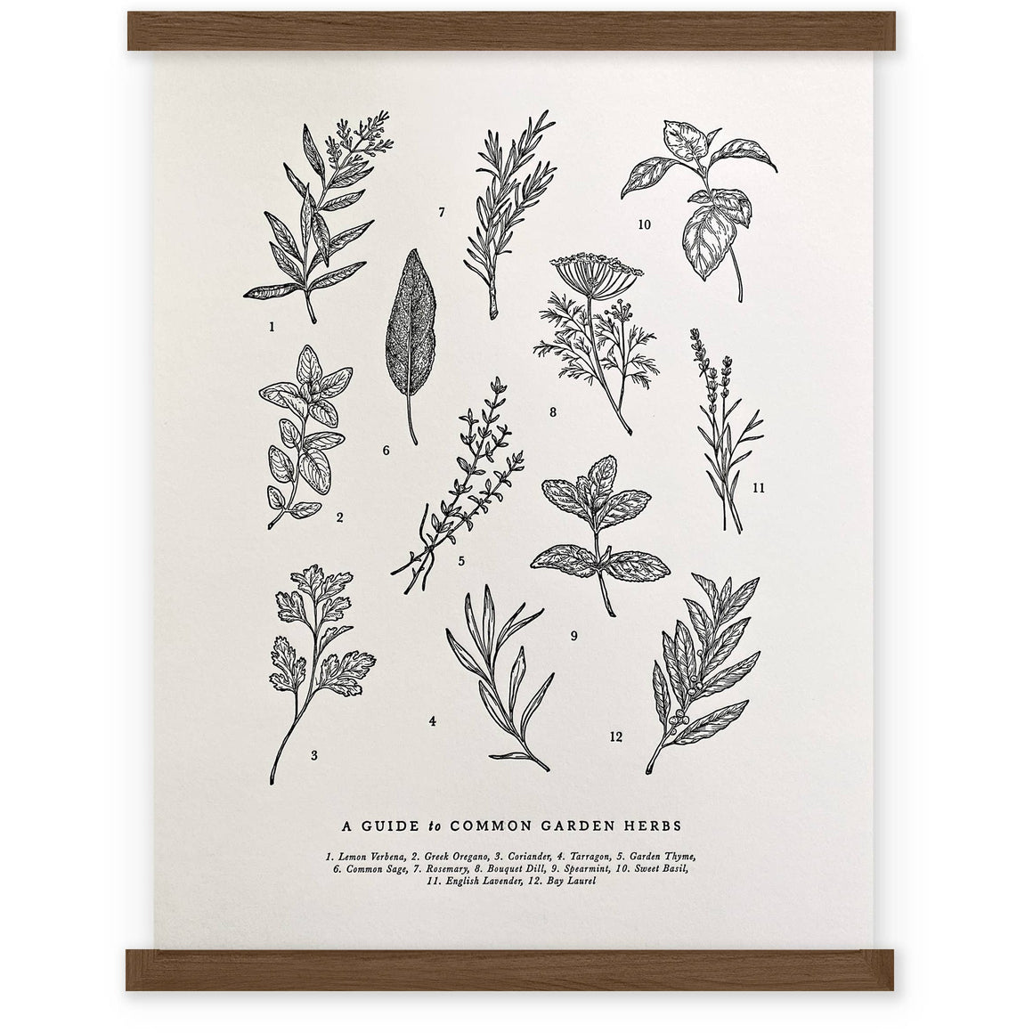 Guide to Garden Herbs Chart